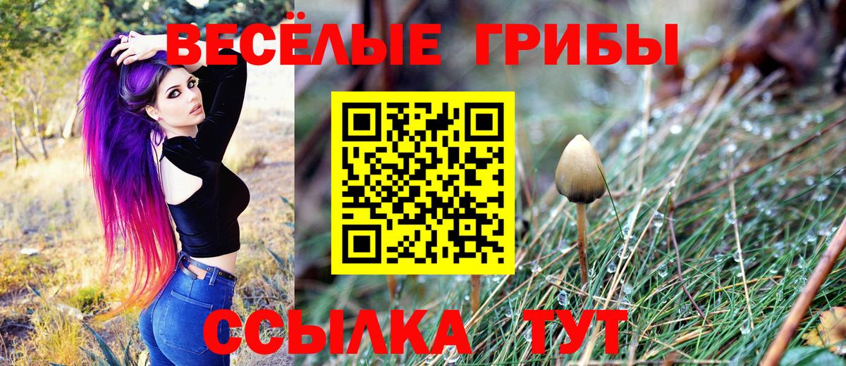 Галлюциногенные грибы прущие грибы Воткинск